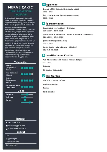 cv indir